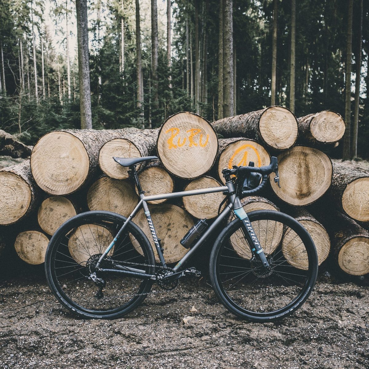 Fahrrad lehnt vor einem Stapel Baumstämme im Wald