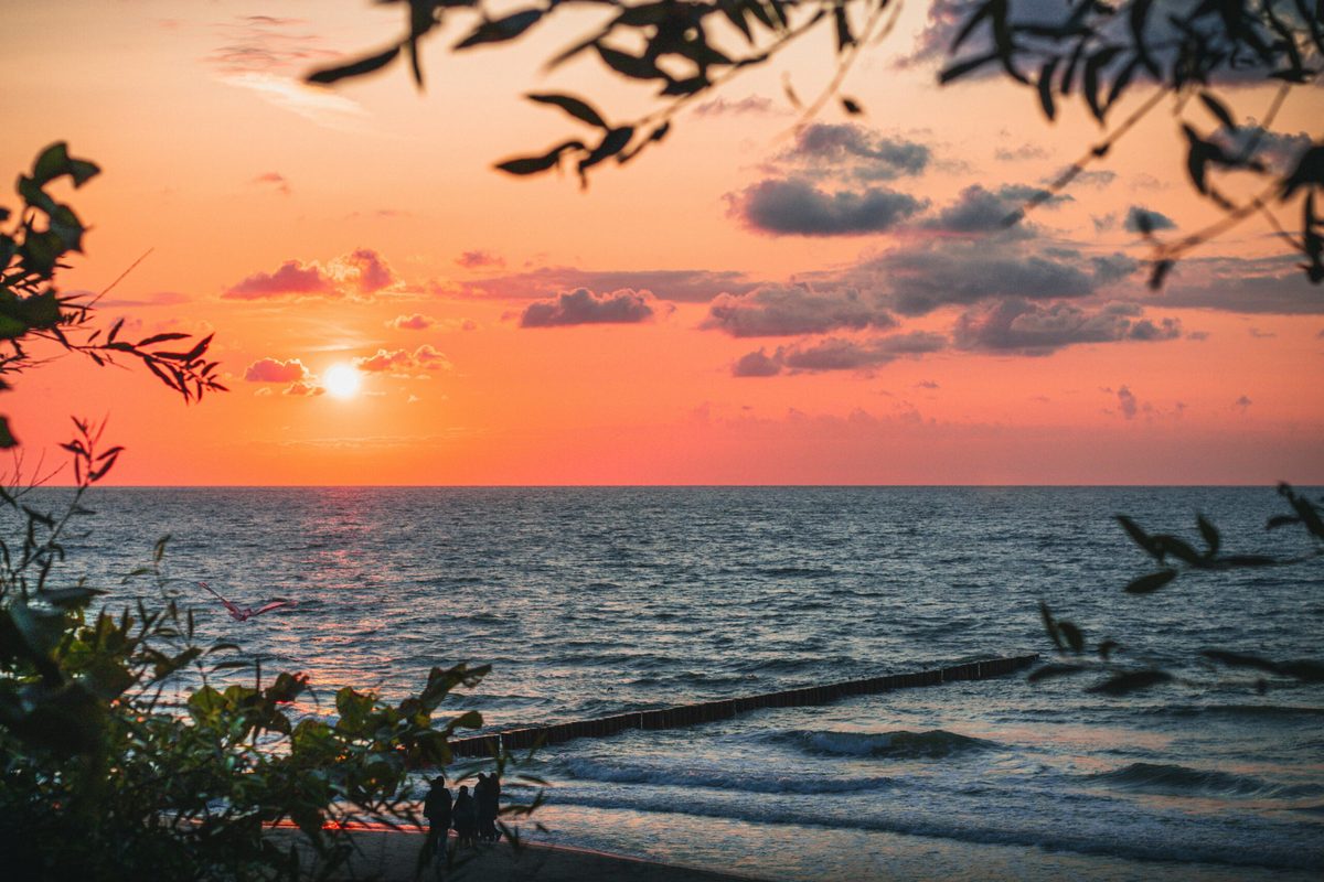Blick durch das Blätterdach auf den Sonnenuntergang am Meer.