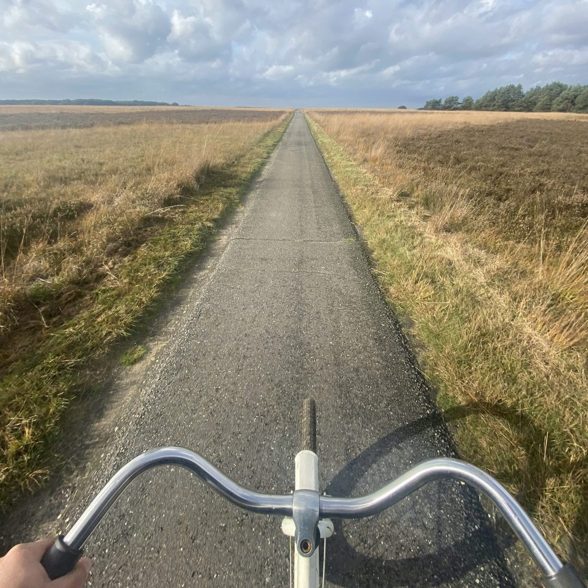 Blick aus der Ersten-Person-Perspektive auf einen Radweg durch die Felder der Ostsee