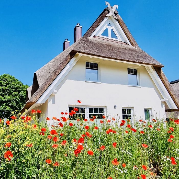 Reetdachhaus Ferienhaus Pepelow mit Blumenwiese