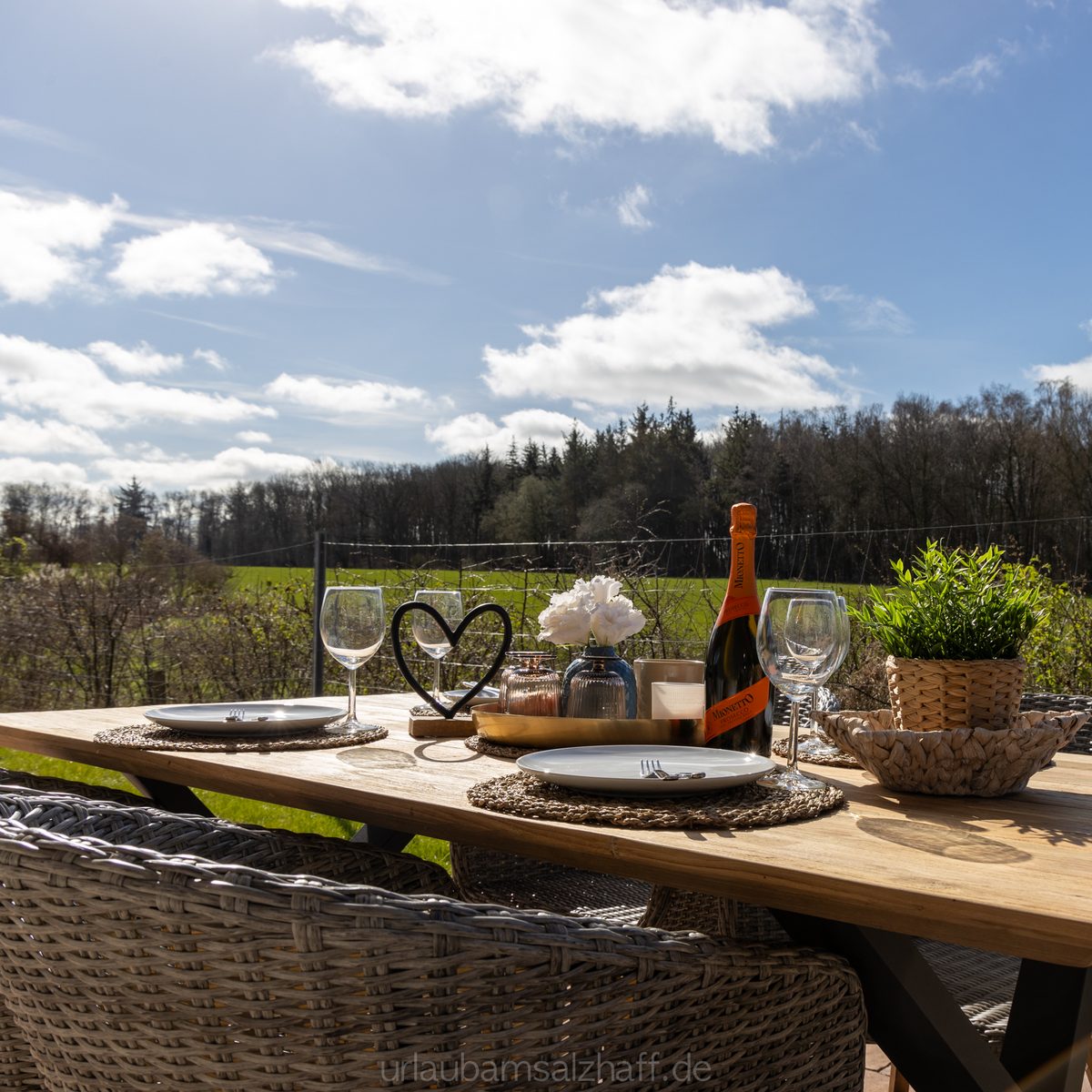 Gedeckter Tisch auf der Terrasse mit Blick über Wiese und Waldrand