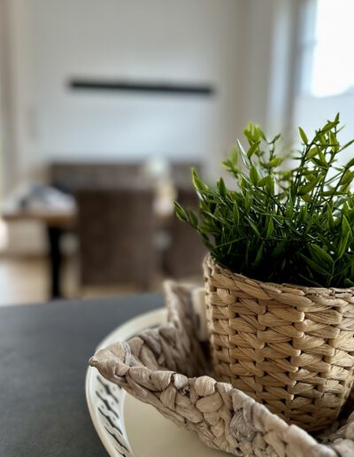 Ein frisches Grün strahlt aus einem dekorativen Topf auf einem Wohnzimmertisch, eingefangen in einem warmen, einladenden Zuhause.