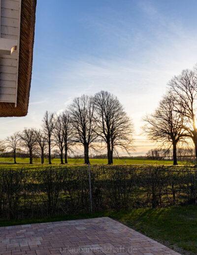 Sonnenuntergang, gesehen von der Terrasse, überblickt ein Feld mit kahlen Bäumen.